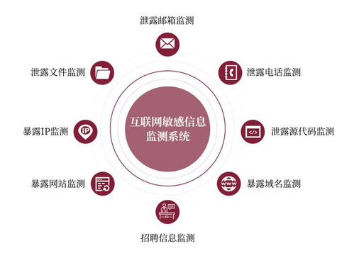 金融信息科技外包導(dǎo)致敏感信息泄露風(fēng)險上升 看raysin來支招